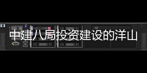 八局心项建设际保目正工中建暂名的洋投资山国税中式开