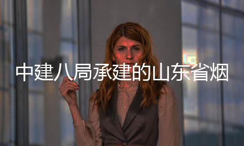 八局部通过竣工验中建的山东省路工烟台承建程全市城市快速路山海收