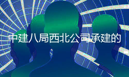八局西北心项目落公司中建的泾育中河新承建城体成