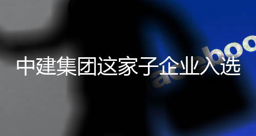 选国小集团家级巨人企中建这家子企专精业入业特新