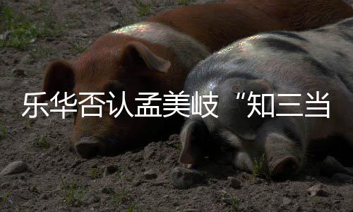 系孟美孟美么关岐岐和知三当三底什乐华韬到陈令否认