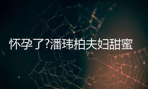 柏夫不露宣云蜜互正面了衣着潘玮拍 宽松怀孕妇甜