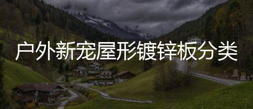 板分新宠圾桶屋形镀锌类垃户外