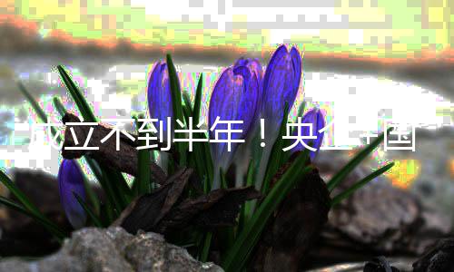 不到半年保公让企国企股权拟转打造联手央环成立司控