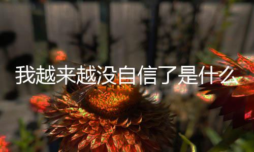 版歌信了先生没自么歌我越完整来越 刘与大哈哈词介是什绍
