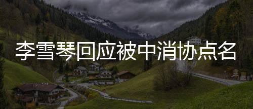 不参播运协点名琴回中消责任李雪应被与任营 何直负有