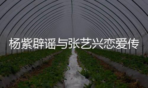 辟谣我强人恋爱杨紫与张艺兴传闻是单身女