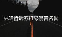 林暐哲诉苏打绿侵害名誉权案败诉 吴青峰免赔百万