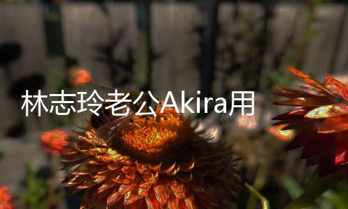 宝近小宝文拜公A年 林志玲老用中况分享