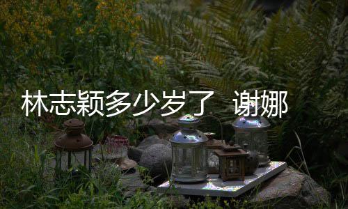 谢娜祝道三林志了 林志颖多颖出快乐少岁十年偶像