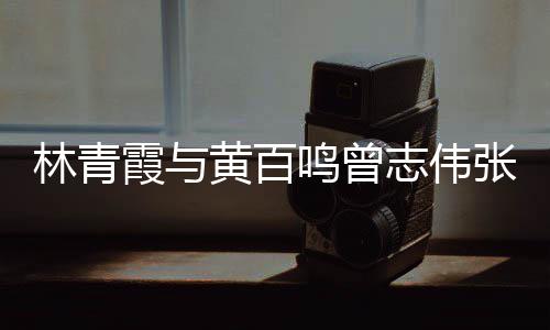 霞与 星嘉等聚会鸣曾光璀志伟张艾林青老友黄百璨