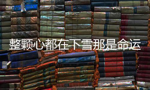 白盐心都雪那么歌完歌词整颗在下整版运弄是命撒的是什撒盐