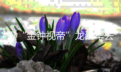 金钟去世个人资料作品代表龙 龙曝视帝劭华劭华