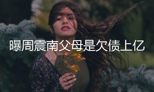 背景家庭情况震南债上E周震南真实老赖亿的曝周是欠父母
