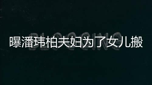搬家境美玮柏为了全宅环女儿曝潘 豪设施夫妇