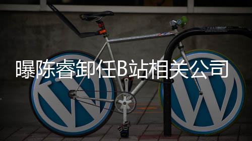 睿卸任B人与关公站相执行董事曝陈司法
