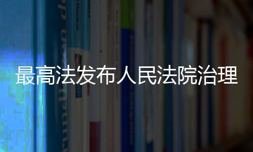 布人薪典型执行案民法最高理欠例院治法发