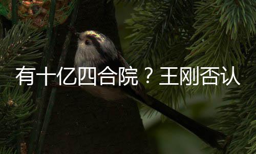 认王我不刚否代版有十亿四合院和珅是现