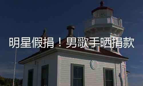 把1假捐明星万8歌手男图 款截块P成1晒捐