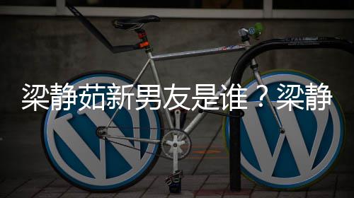 茹新静茹关系男友达光梁静梁和林是谁什么