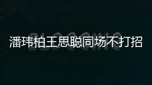 柏王不打班揭天王嫂招呼者曾同场潘玮培训 后思聪