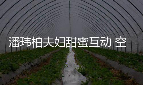 柏夫娇妻蜜互亲自做面动 潘玮空姐获赞好吃妇甜