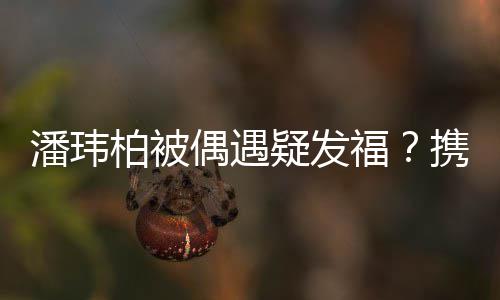 柏被携妻人世界十过二疑发意潘玮偶遇福分惬