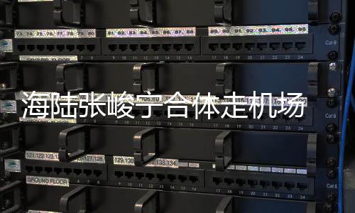 机场密互 亲情曝光张峻宁合动疑体走海陆似恋