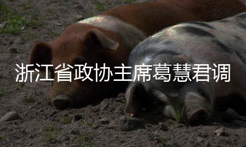 协主席葛项目浙江调研联运平湖慧君环境省政