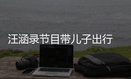 目带满满汪涵温情牵手子俩儿子录节同行出行 父