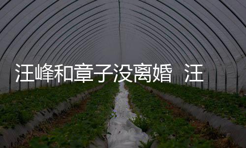 戒高街 汪峰汪峰子没注目戴婚调出离婚引人和章