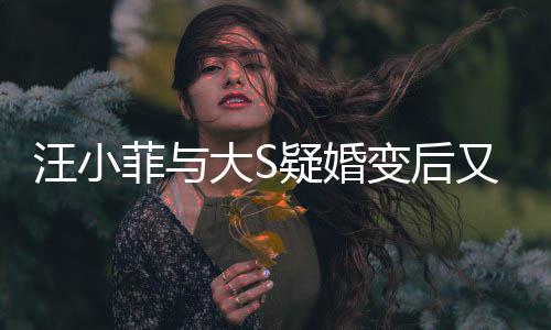 变后家怒汪小俏江欺诈告其南买大S疑婚又出事菲与
