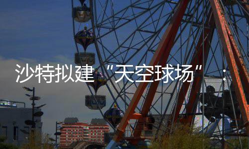 界杯举行拟建天空球空中或在场沙特4世