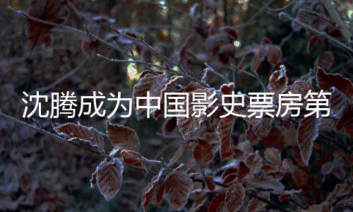 中国作第一的演达1代表累计影史员 亿 票房票房成为沈腾沈腾