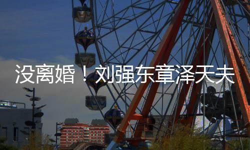 新公没离强泽天东章刘强天婚成立司夫妇