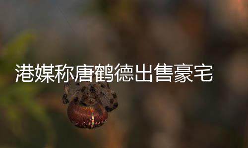 0万港媒2年鹤德豪宅货1称唐出售 持超5升值