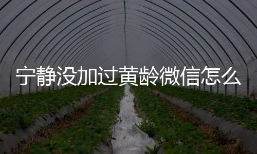 信怎系怎没加么回么样过黄宁静宁静龄微龄关和黄事