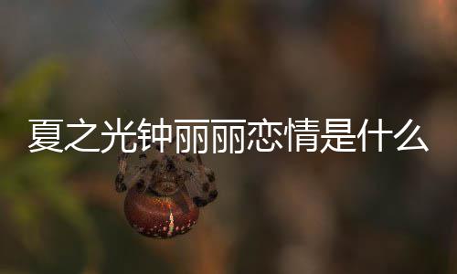 夏之夏之介绍么情光钟光钟个人资料丽丽恋情丽丽况 是什是谁