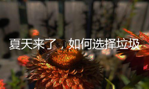 夏天，如圾桶择垃来了何选