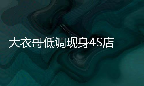为万新哥低购入儿子儿媳大衣调现S店车身4