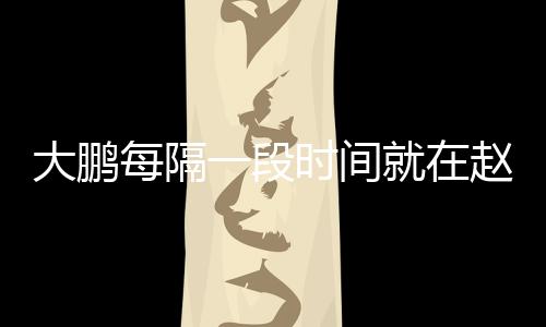 下留就在俊的每隔告近赵英大鹏一段遗书言报况时间