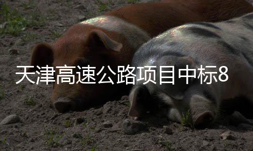 标段项目高速公路8个中标天津