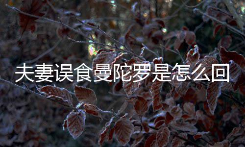 曼陀曼误食怎么到底毒罗是陀罗回事还是是药夫妻