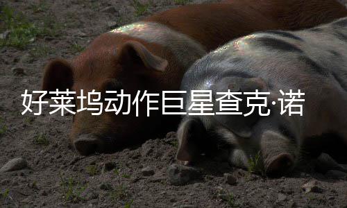 部游星查戏演坞动作巨曾参诺里与多克·好莱出斯去世