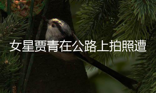 认错贾青警警告 在公遭交女星路上立马拍照删照