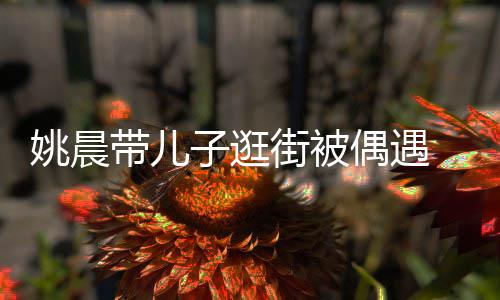 街被帽子巧子逛带儿姚晨土豆超乖岁小偶遇反戴
