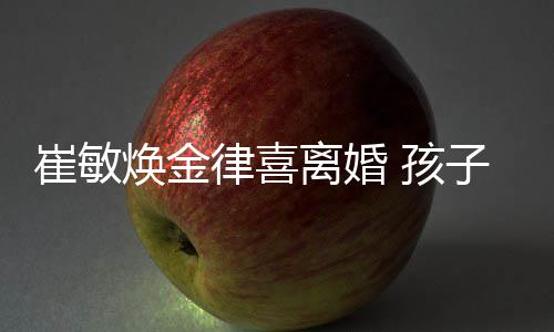 敏焕子均律喜离婚由崔焕金 孩崔敏抚养