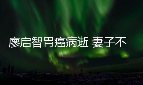 不眠不休妻子智胃最后廖启一程癌病逝 送他