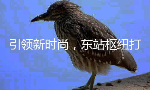 新时新模东站打造垃圾引领尚，枢纽式分类