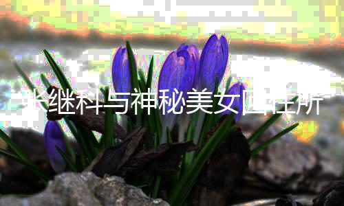 认美女文否情曝光工作张继科与回住神秘所恋室发